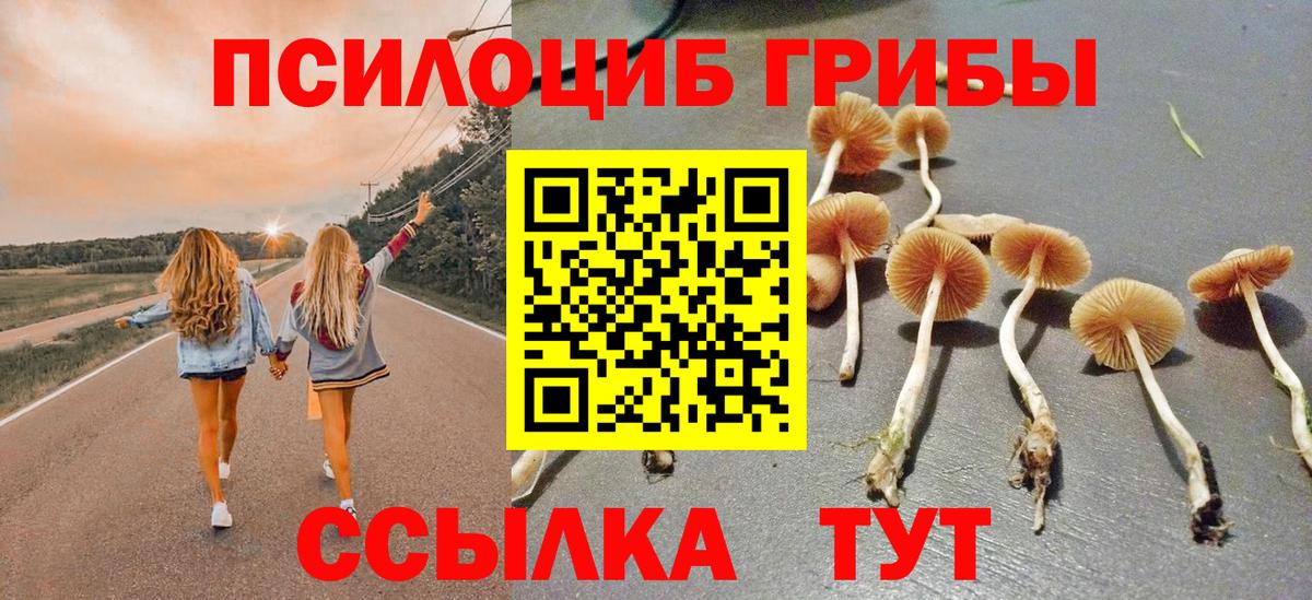 Псилоцибиновые грибы ЛСД Муравленко