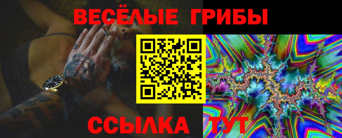 Галлюциногенные грибы GOLDEN TEACHER  Вход с VPN  Псилоцибиновые грибы GOLDEN TEACHER  Муравленко 